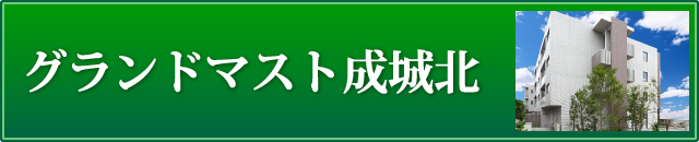 グランドマスト成城北